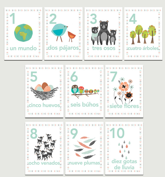 Our World Nature Themed 5 x 7 Counting Cards in English, Spanish or Dutch