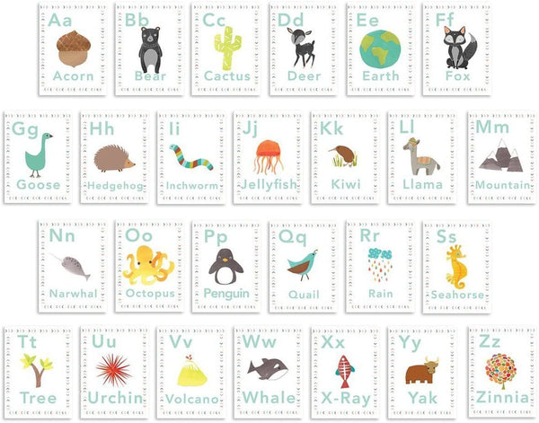 Additional Alphabet Letters 8x10