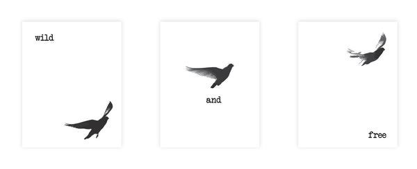 Print or Canvas,  Collection Wild And Free Black Birds Set Of 3