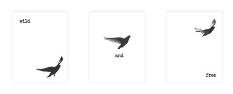 Print or Canvas,  Collection Wild And Free Black Birds Set Of 3