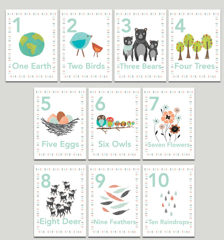 Our World Nature Themed 5 x 7 Counting Cards in English, Spanish or Dutch